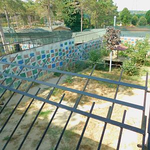 Spotted Hyena Enclosure at Park Of Istanbul