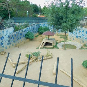 Second Grey Wolf Enclosure at Park Of Istanbul