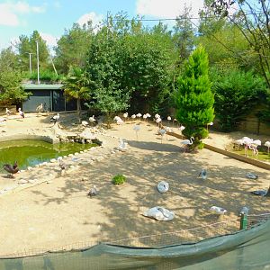 Flamingo, Seagull, and Stork Enclosure at Park Of Istanbul