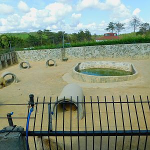 Brown Bear Enclosure at Park Of Istanbul