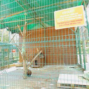 Eagle Enclosure at Park Of Istanbul