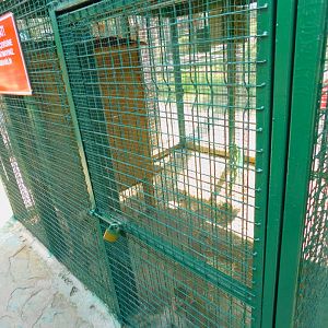 Rhesus Macaque Enclosure at Park Of Istanbul