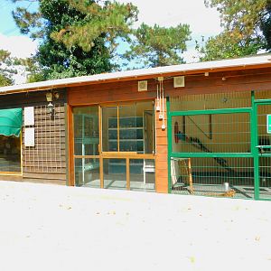 Bengal Cats and Pet Shop at Park of Istanbul