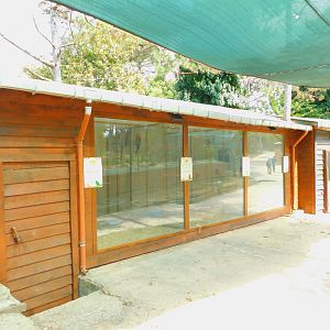 Parrot Area  at Park of Istanbul