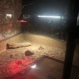 “Nile” Crocodile Enclosure at Park of Istanbul