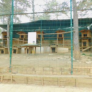 One of the many Pheasantries at Park of Istanbul