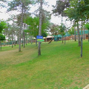 Slope with free range llamas at Park of Istanbul