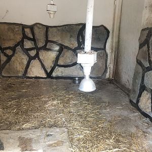 Ferret Enclosure at Park of Istanbul