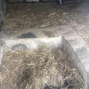 Ferret Enclosure at Park of Istanbul