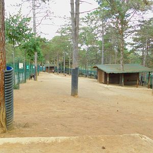 Cow and Miniature Horse Enclosure at Park of Istanbul