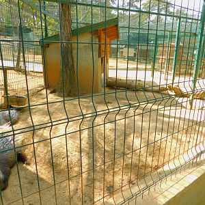 Porcupine Enclosure at Park of Istanbul