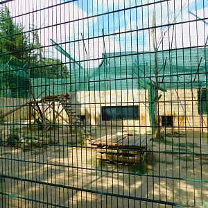 Tiger Enclosure at Park of Istanbul