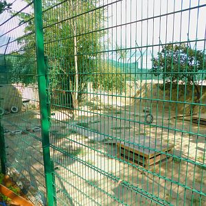 Lion Enclosure at Park of Istanbul