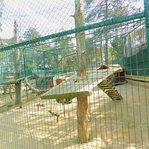 Grivet Enclosure at Park of Istanbul
