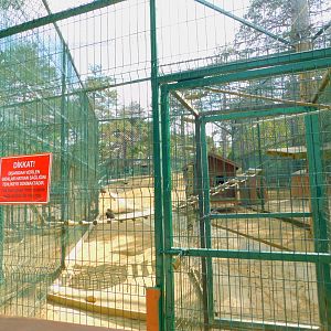 Rhesus Macaque Enclosure at Park of Istanbul