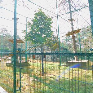Puma Enclosure at Park of Istanbul