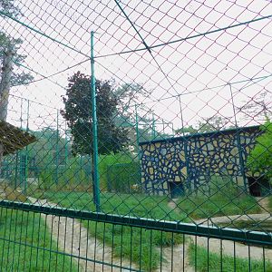 Serval Enclosure at Park of Istanbul