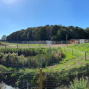 YWP new cheetah enclosure. panoramic, left side