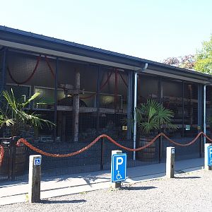 Tayra exhibit in entrance/main building, 2023-05-31