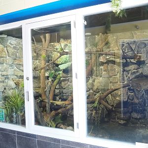 Caiman lizard terrarium in the entrance/main building, 2023-05-31