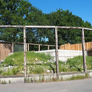 New mountain animal area under construction - Future Kea aviary, 2023-05-31