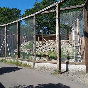 New mountain animal area under construction - Future Bearded vulture aviary, 2023-05-31