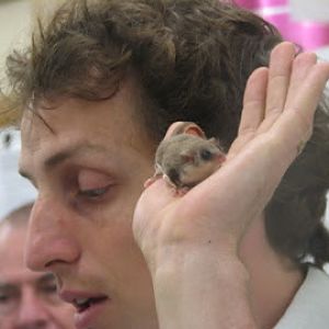 Roar & Snore 2010 - Feathertail Glider