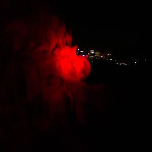 Roar & Snore 2010 - Himalayan Tahr at night