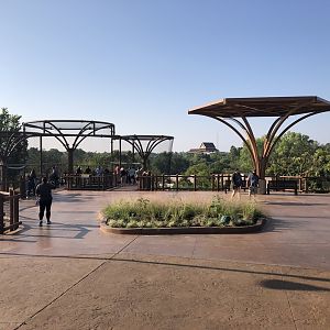 Entry Plaza Lemur Exhibit