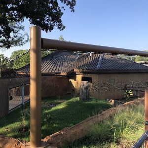 Left Side of Honey Badger Exhibit