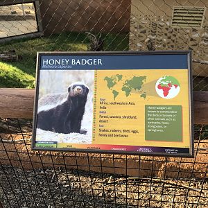 Honey Badger Sign