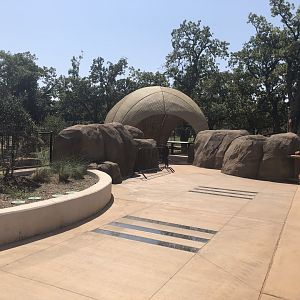 Example of African Wild Dog and Hyena Viewing