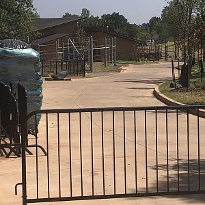 Expedition Africa Giraffe Holding Building