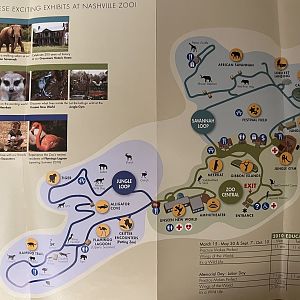Zoo Map - 2010