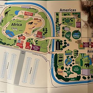 Zoo Map - 2010