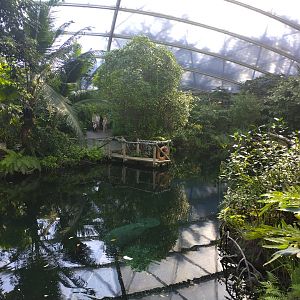 View of the manatee creek