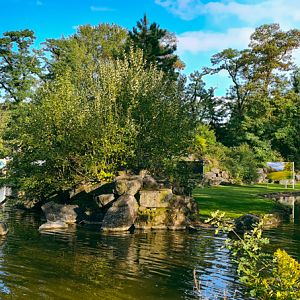 Maybe moose enclosure