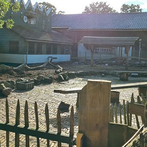 Petting zoo - outdoor