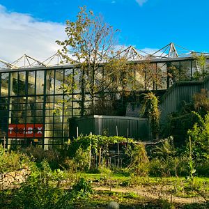 Tropical hall - outside