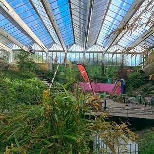 Tropical hall - inside