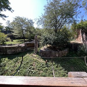 Sep. 2023 - Asia Quest - Amur Tiger Enclosure