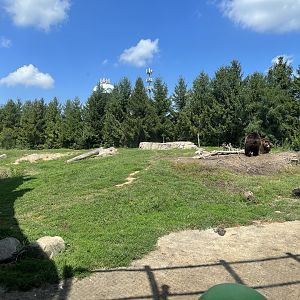 Sep. 2023 - Polar Frontier - Brown Bear Enclosure