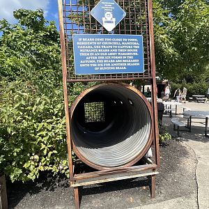 Sep. 2023 - Polar Frontier - Bear Trap