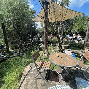 Sep. 2023 - Heart of Africa - Vervet Monkey Enclosure (view from Jack’s Tent)