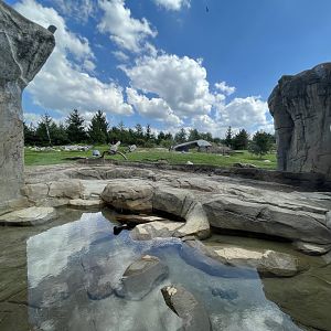 Sep. 2023 - Polar Frontier - Polar Bear Enclosure