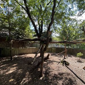 Sep. 2023 - Australia & the Islands - Outdoor Koala Enclosure