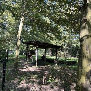 Sep. 2023 - Congo Expedition - Okapi Enclosure