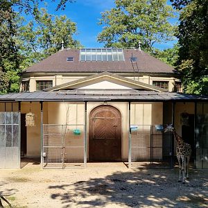 Antelope house, Giraffe outdoor