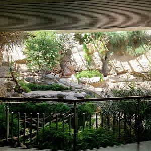 Dwarf mongoose/ Nile Crocodile exhibit, Gamgoas