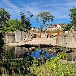 Part of the Elephant outdoor exhibit